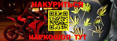 шишки Славгород