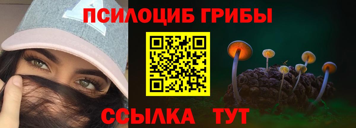 Псилоцибиновые грибы Cubensis Светлоград